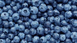 Which food contains antioxidants 
